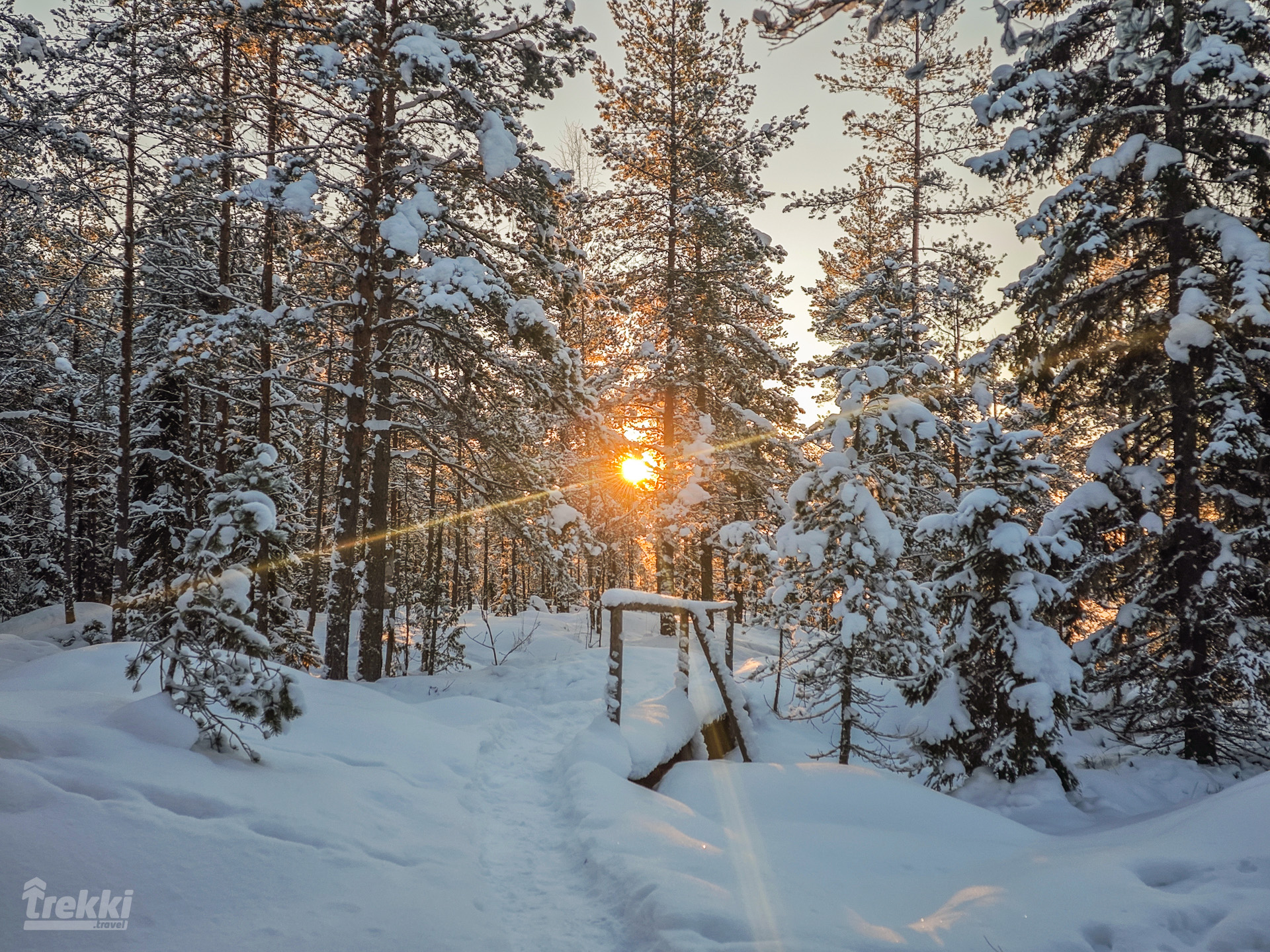 Зимняя Карелия. Горный парк Рускеала, гора Паасо, Древний вулкан Кирьявалахти, Северная Фиваида
